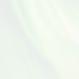 Meet your Posher, Ro